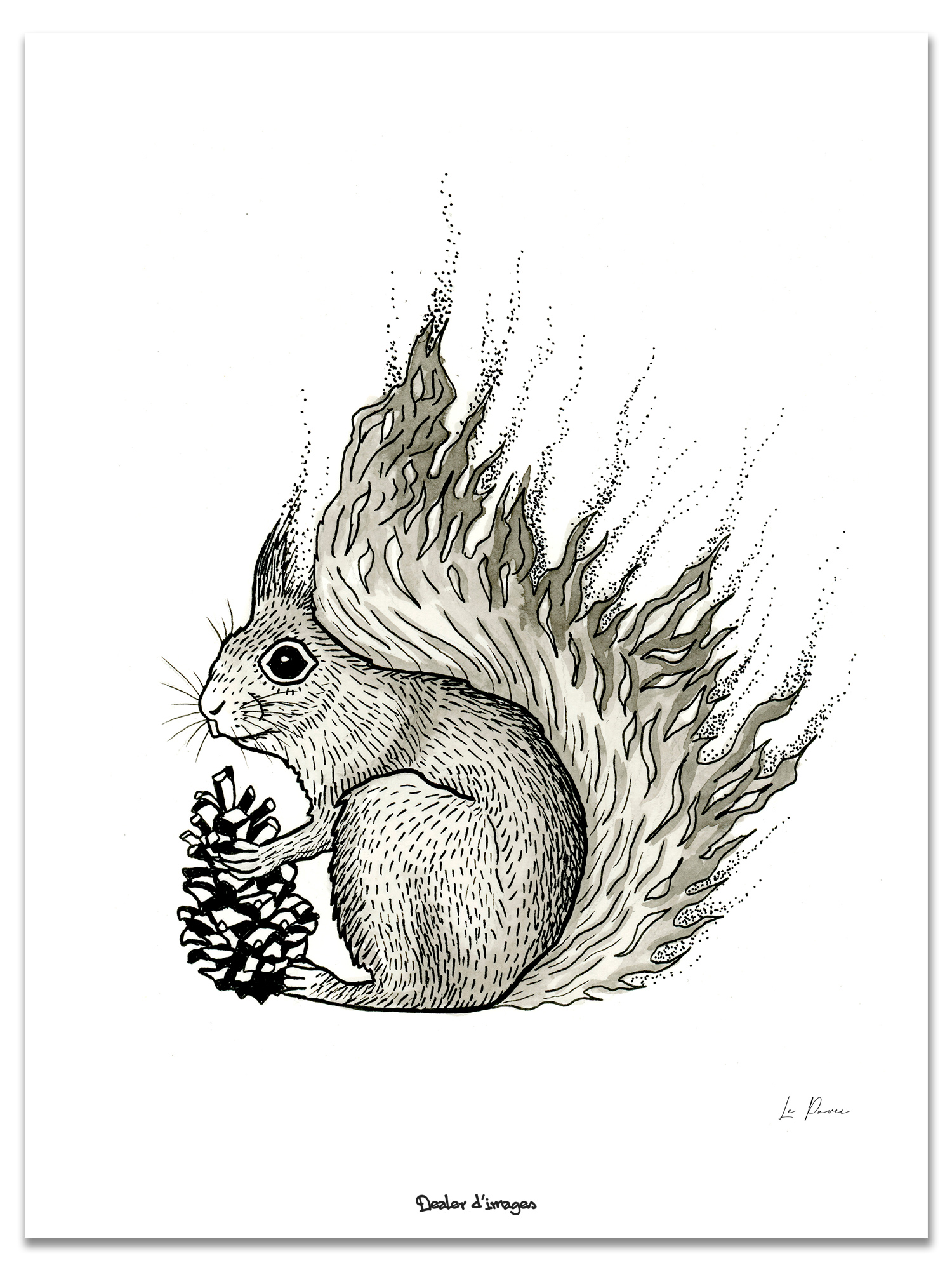 L'écureuil sur l'arbre affiches et impressions par Wisga Photography -  Printler
